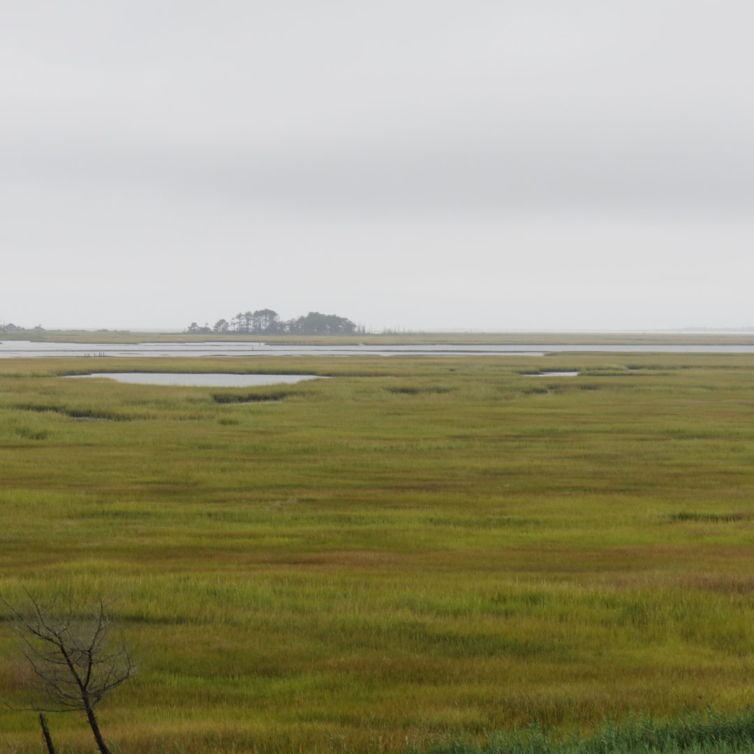Chincoteague VA Hotel Views (a national park)  5 of  7 (#0062)