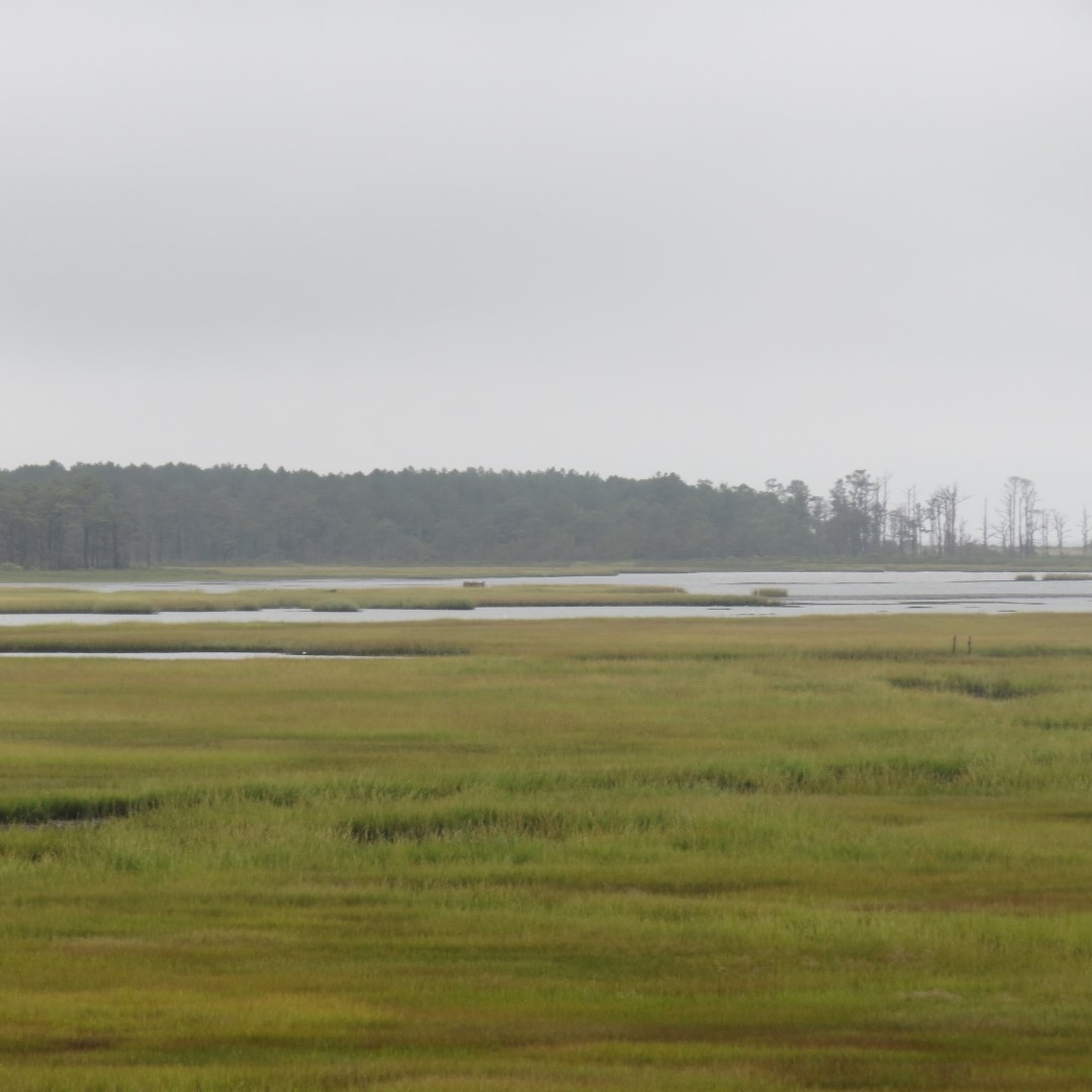 Chincoteague VA Hotel Views (a national park)  7 of  7 (#0064)