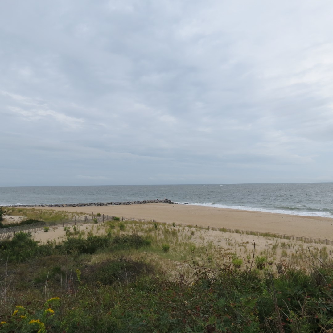 Cape Henlopen State Park in Lewes DE  2 of 55 (#0075)