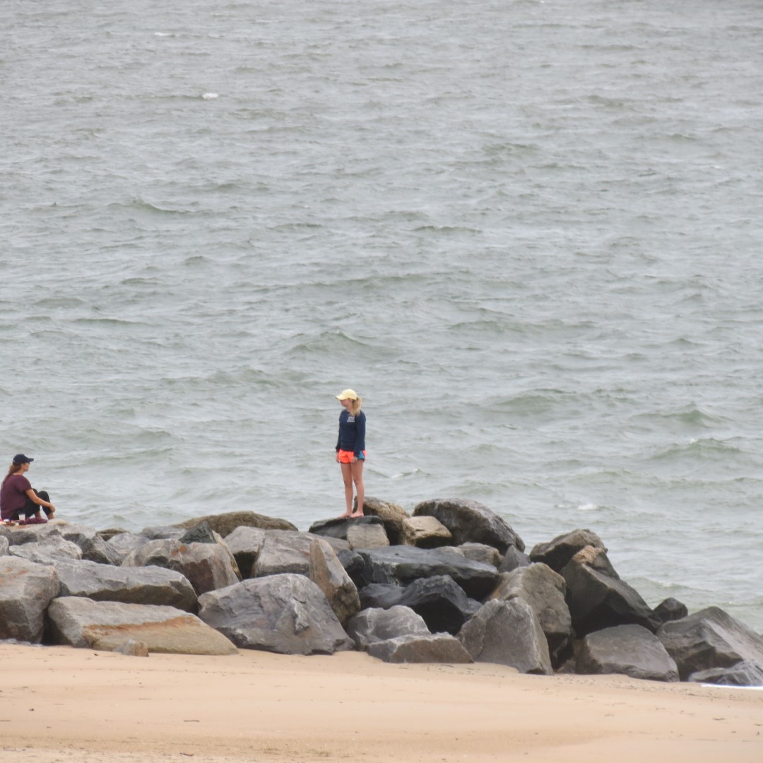 Cape Henlopen State Park in Lewes DE  3 of 55 (#0076)