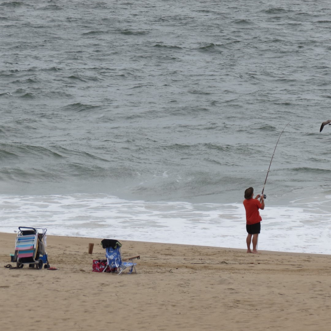 Cape Henlopen State Park in Lewes DE  4 of 55 (#0077)