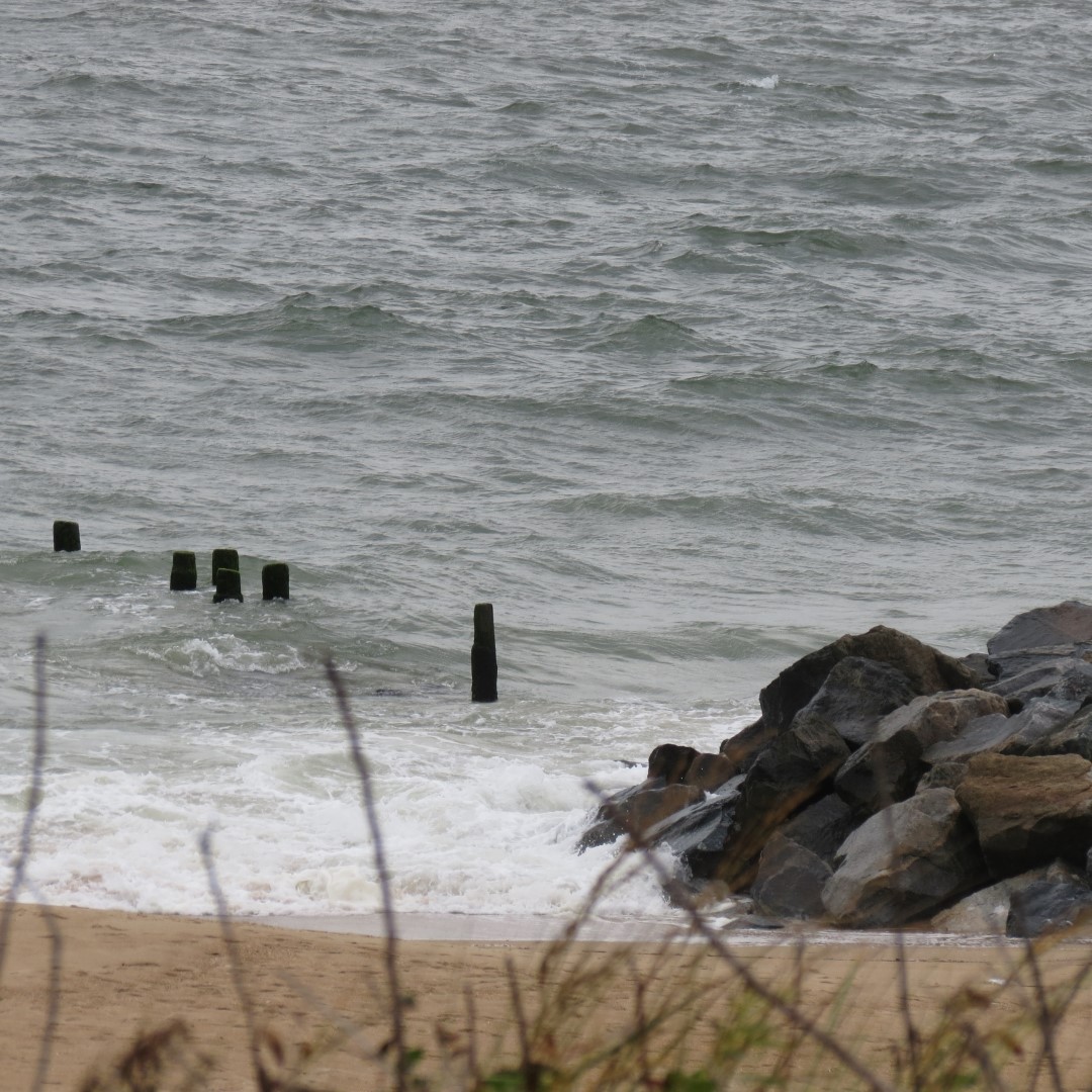 Cape Henlopen State Park in Lewes DE  5 of 55 (#0078)