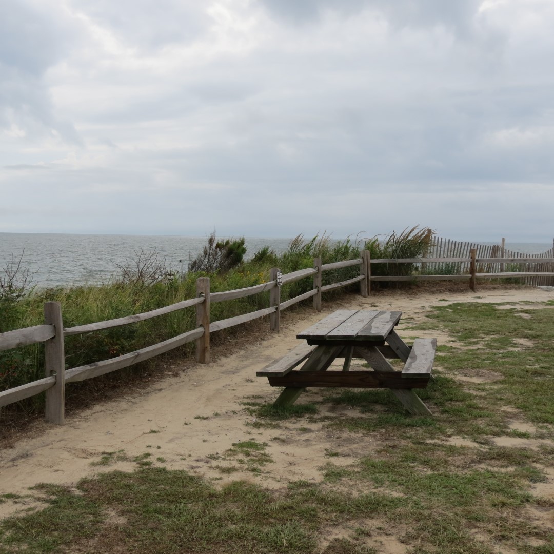 Cape Henlopen State Park in Lewes DE  7 of 55 (#0080)
