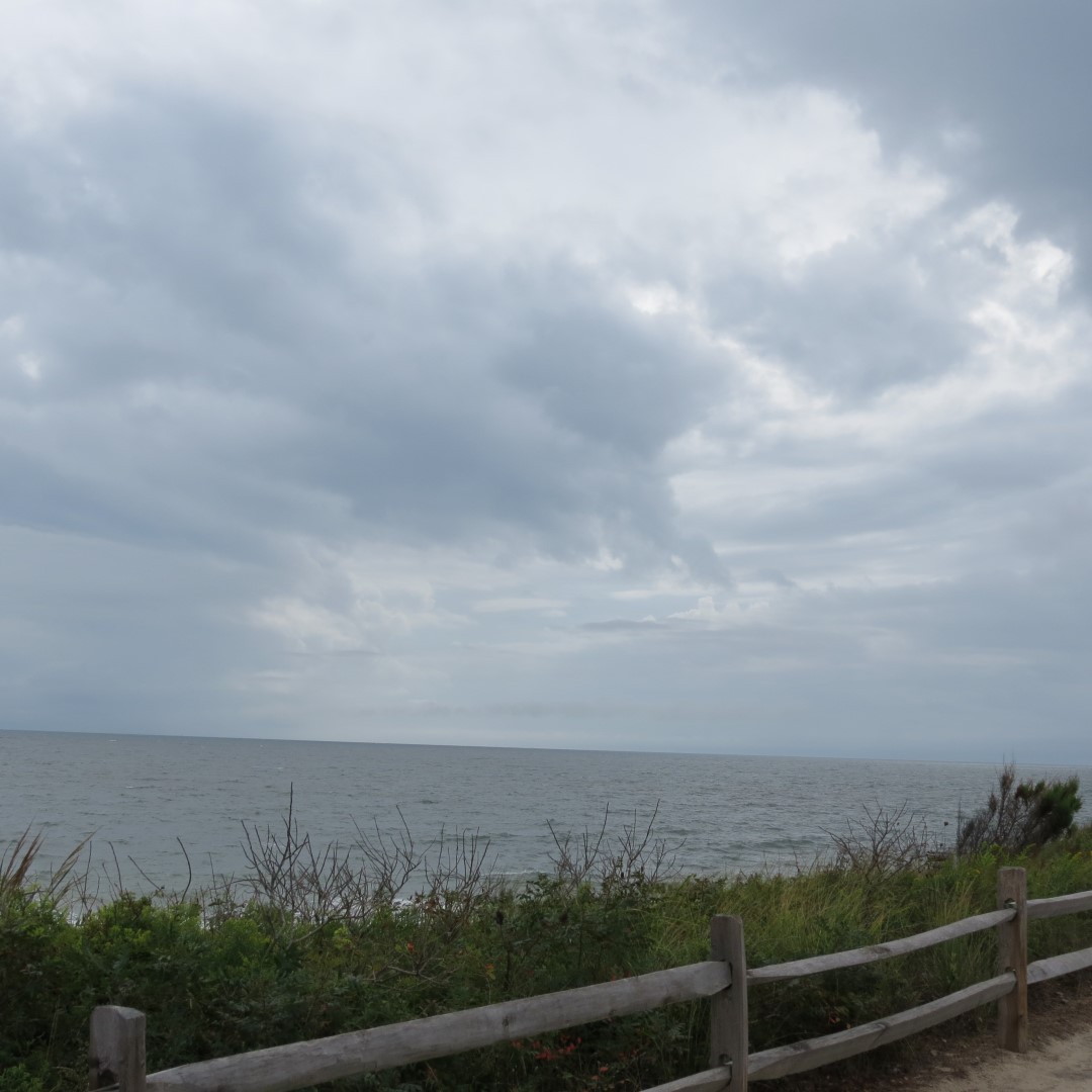 Cape Henlopen State Park in Lewes DE  8 of 55 (#0081)