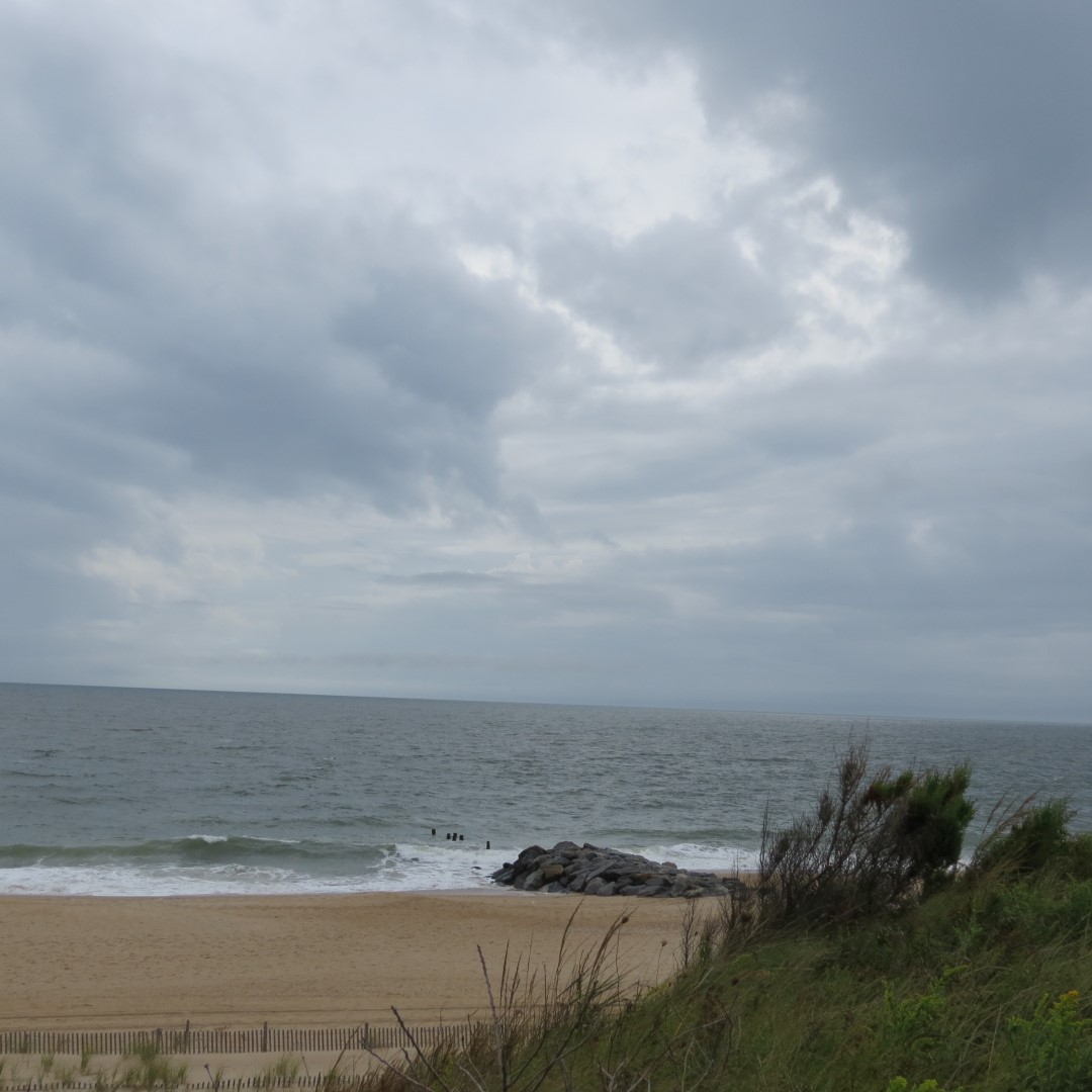 Cape Henlopen State Park in Lewes DE 11 of 55 (#0084)