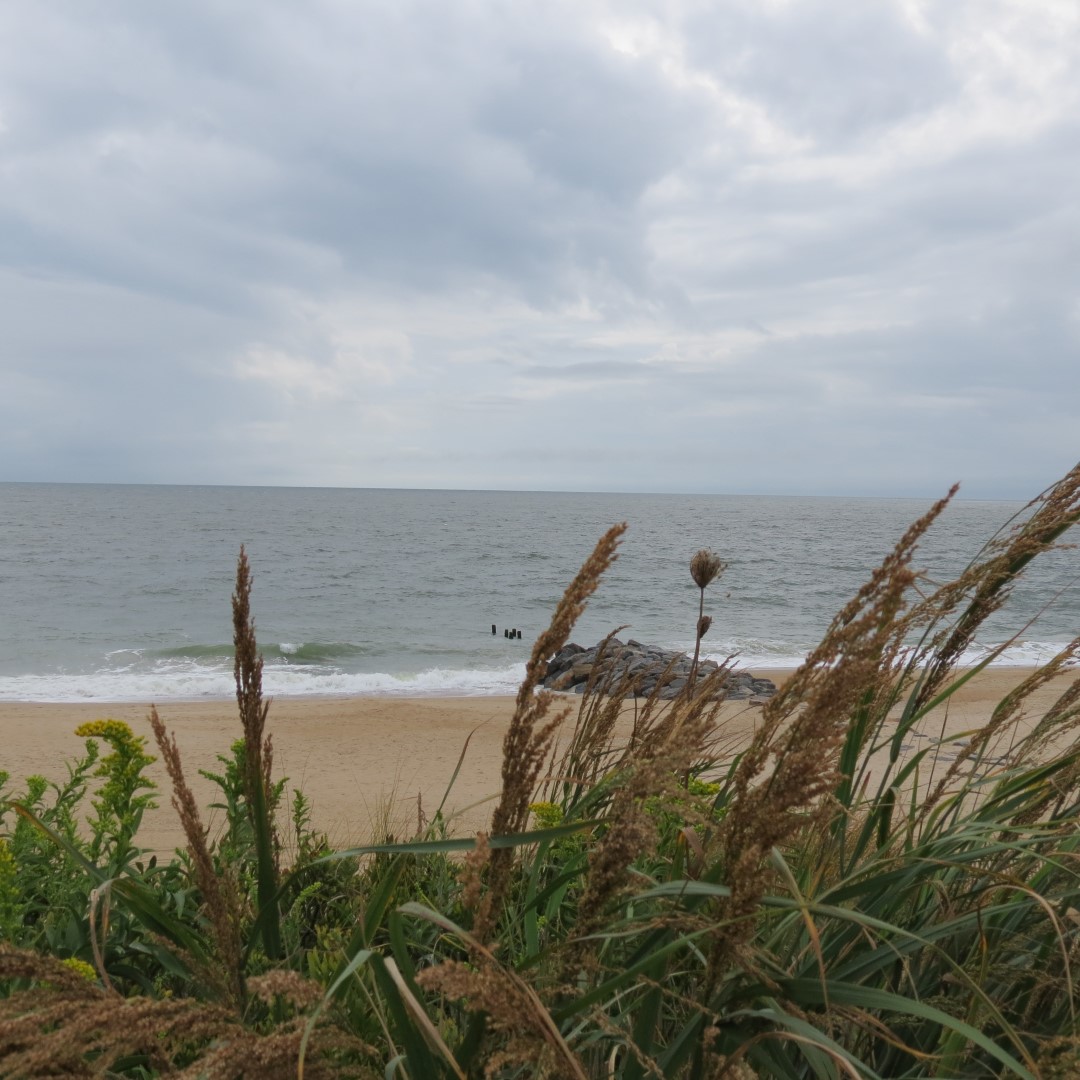 Cape Henlopen State Park in Lewes DE 13 of 55 (#0086)