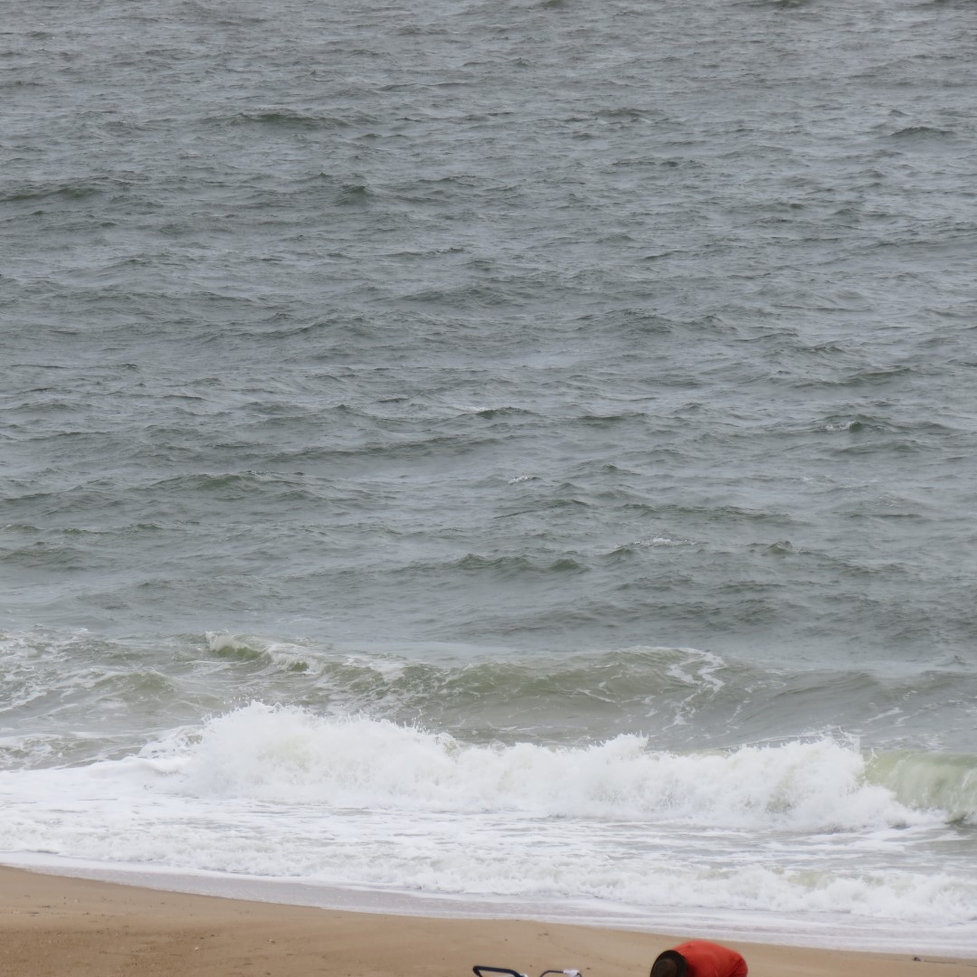 Cape Henlopen State Park in Lewes DE 14 of 55 (#0087)
