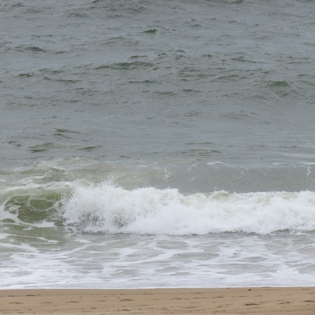 Cape Henlopen State Park in Lewes DE 16 of 55 (#0089)
