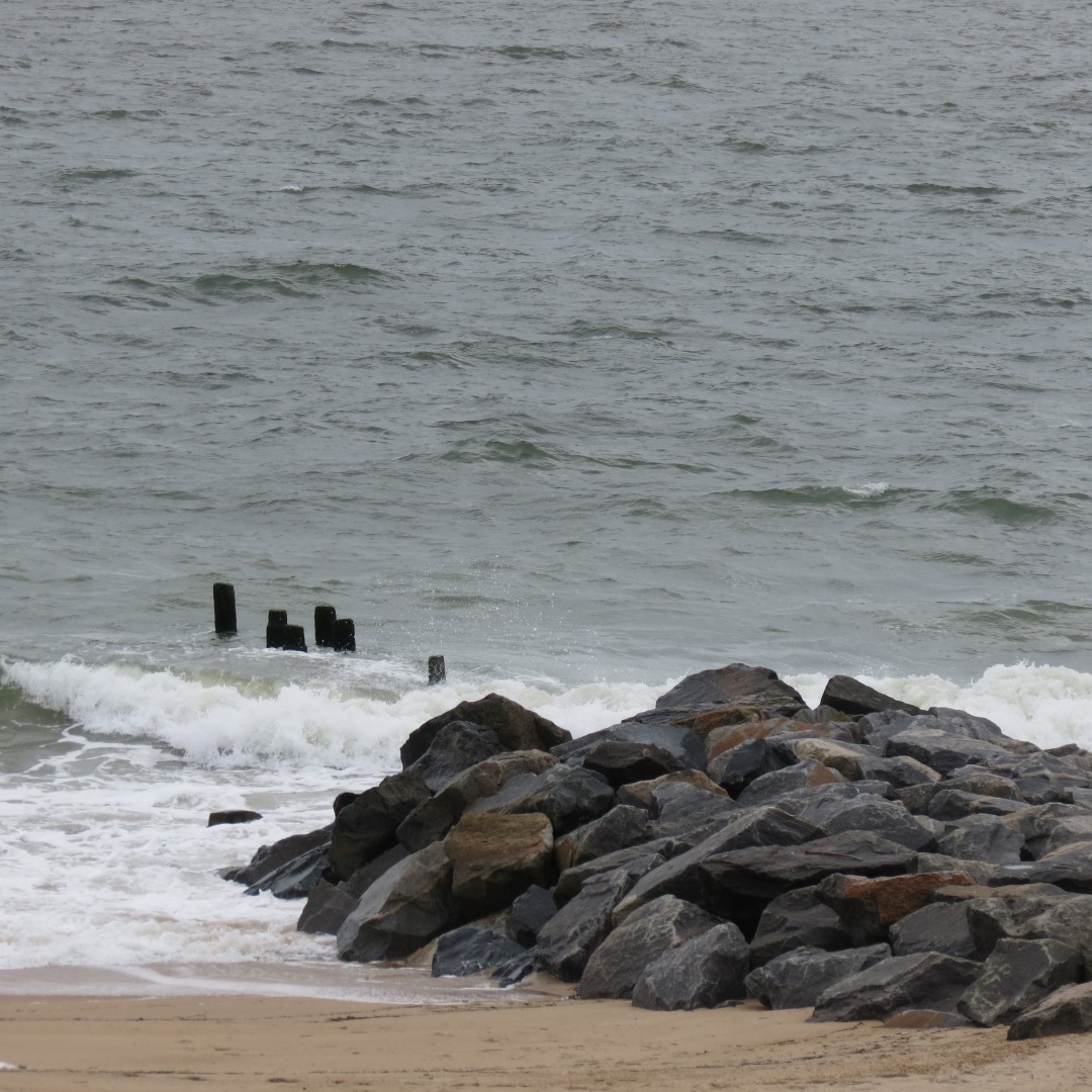 Cape Henlopen State Park in Lewes DE 17 of 55 (#0090)