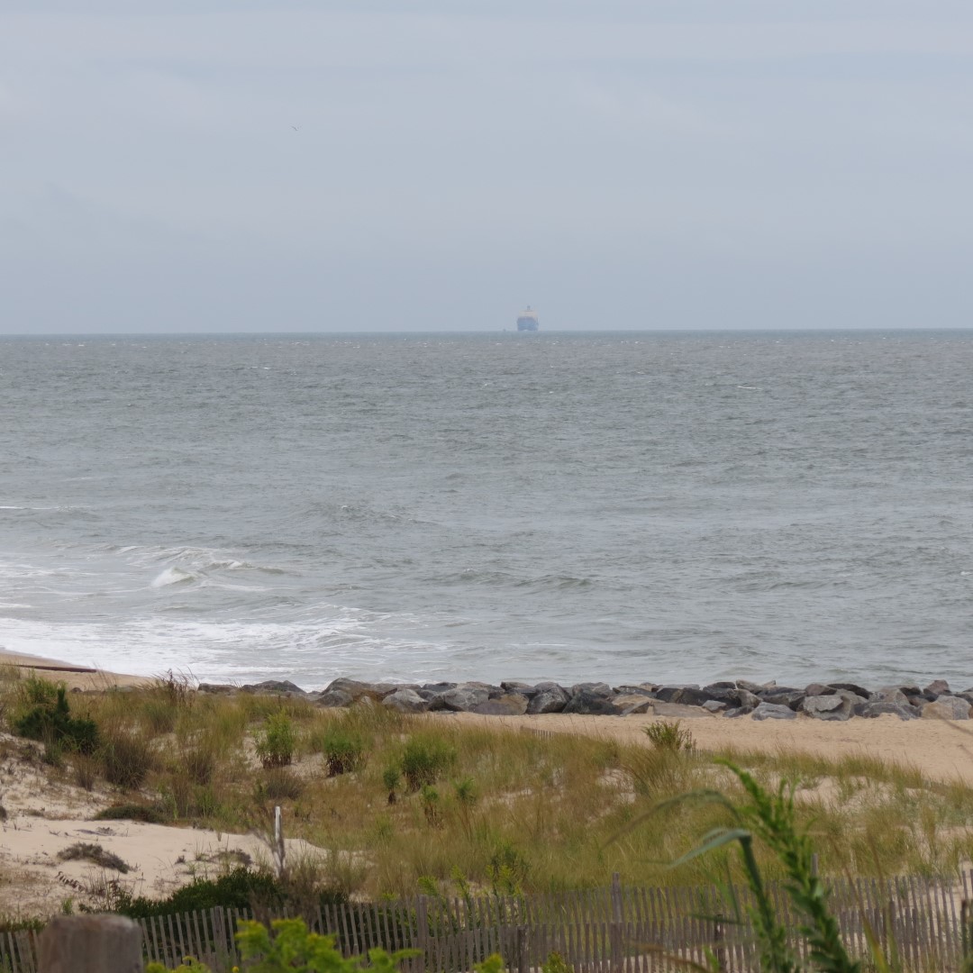 Cape Henlopen State Park in Lewes DE 19 of 55 (#0092)