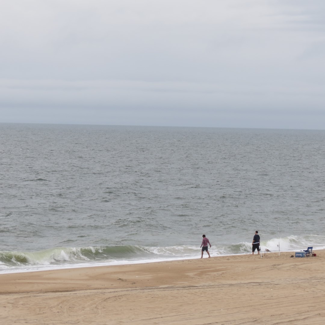 Cape Henlopen State Park in Lewes DE 20 of 55 (#0093)