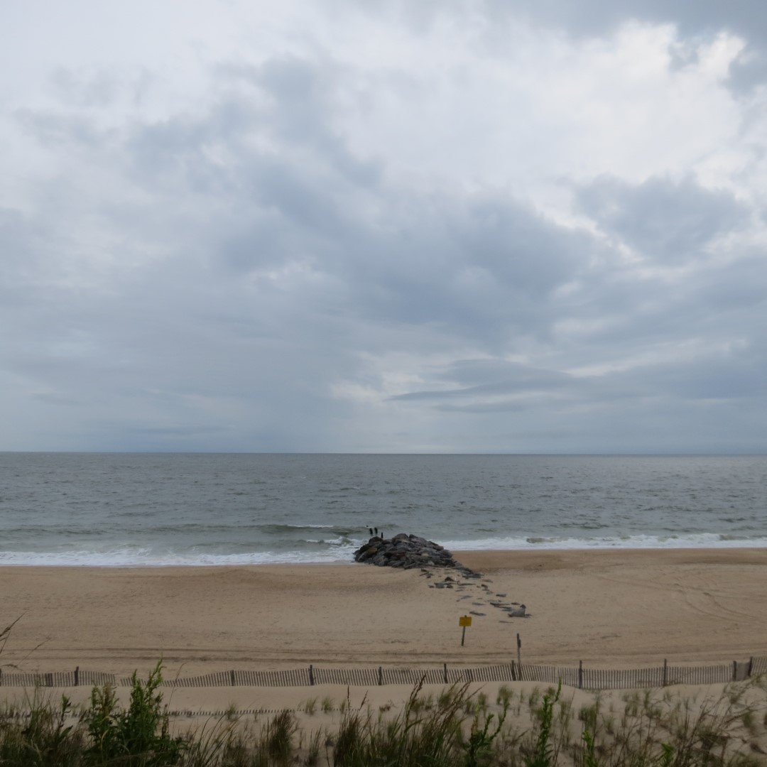 Cape Henlopen State Park in Lewes DE 23 of 55 (#0096)