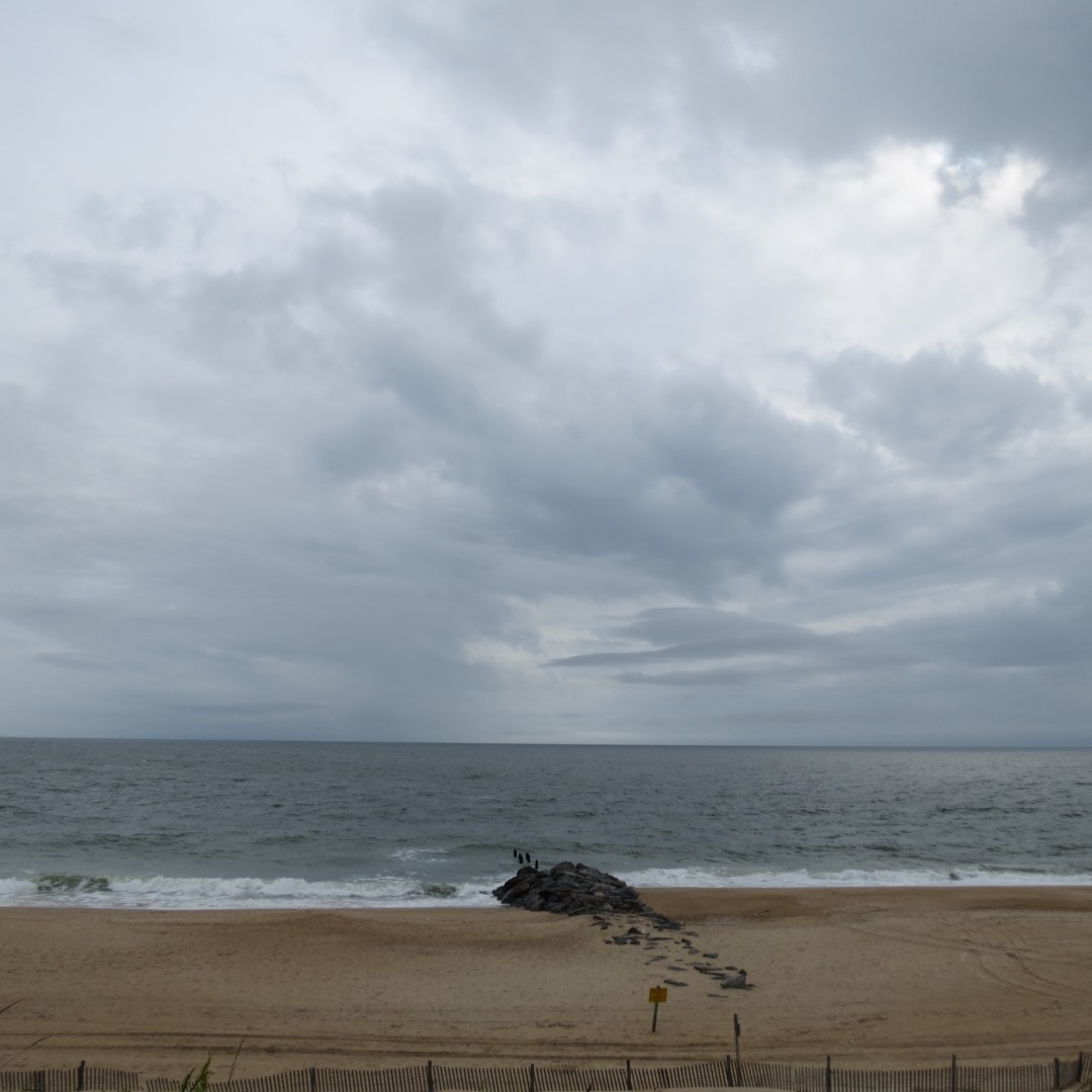 Cape Henlopen State Park in Lewes DE 24 of 55 (#0097)