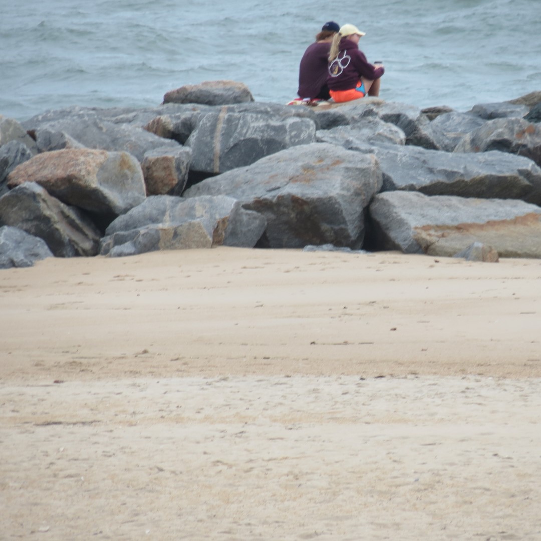 Cape Henlopen State Park in Lewes DE 26 of 55 (#0099)