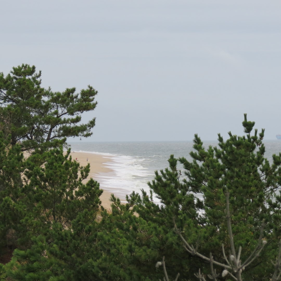 Cape Henlopen State Park in Lewes DE 30 of 55 (#0103)