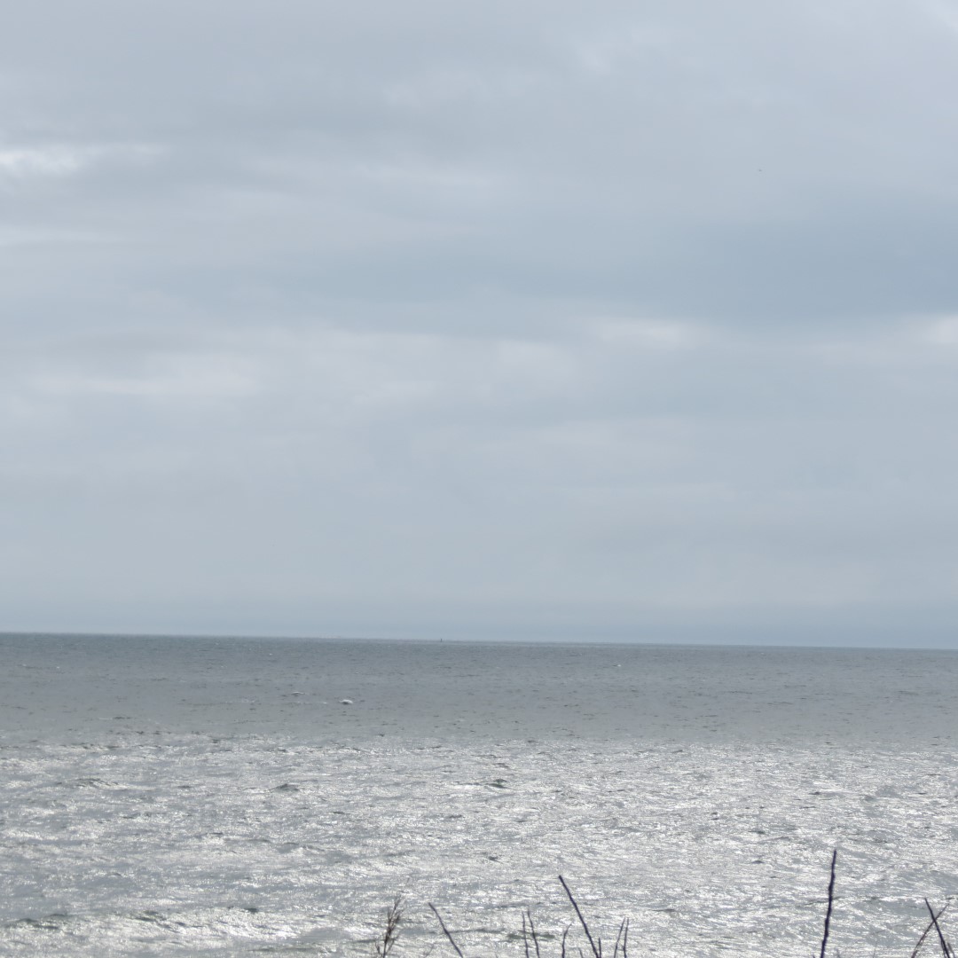 Cape Henlopen State Park in Lewes DE 32 of 55 (#0105)