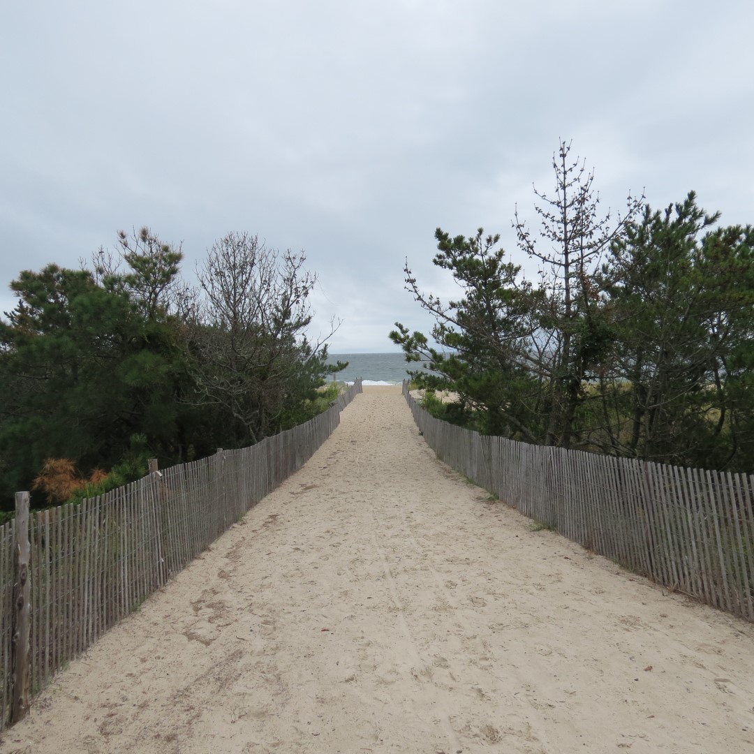 Cape Henlopen State Park in Lewes DE 33 of 55 (#0106)