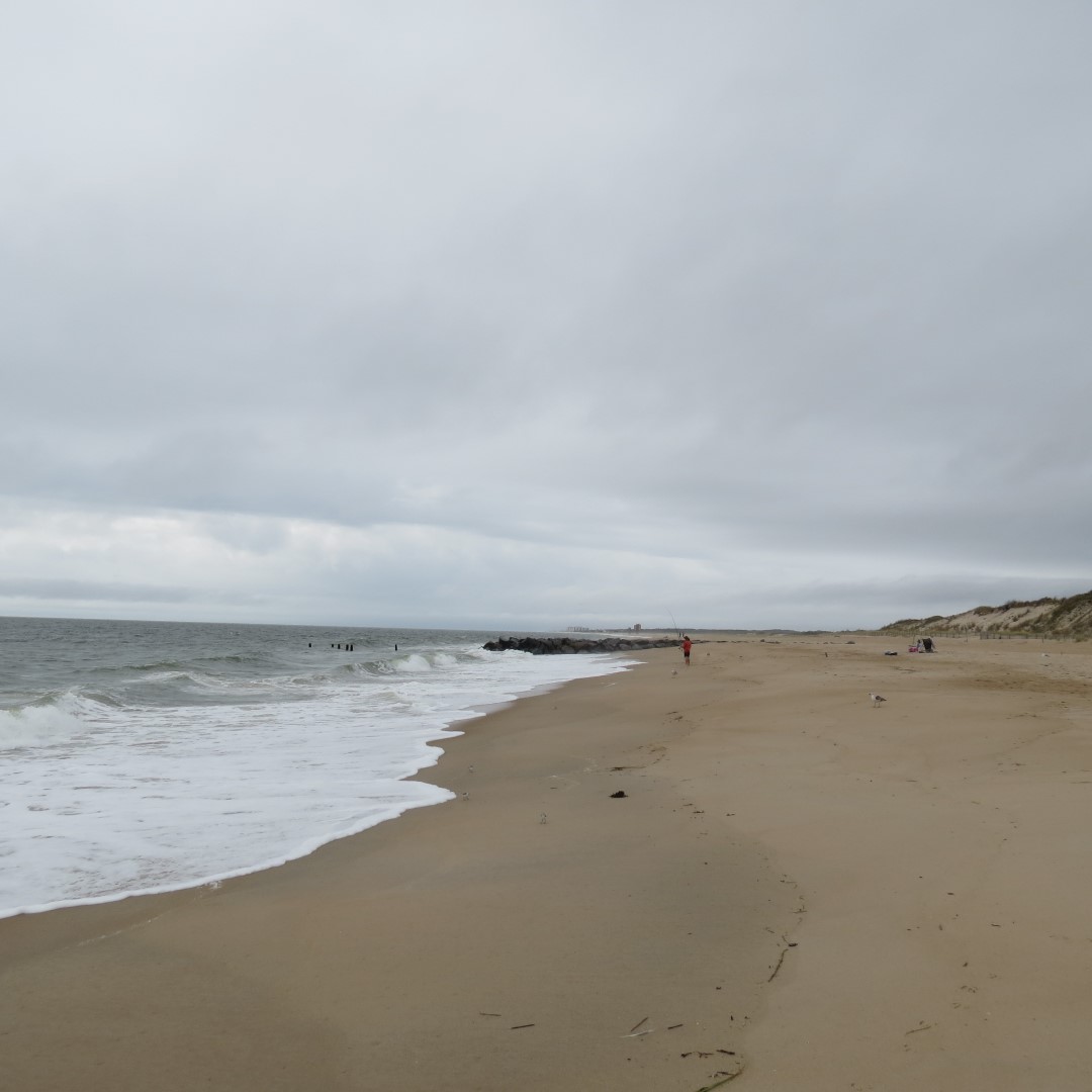 Cape Henlopen State Park in Lewes DE 53 of 55 (#0126)