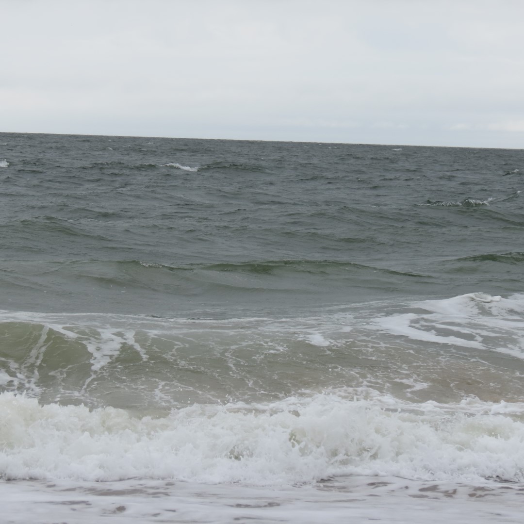 Cape Henlopen State Park in Lewes DE 54 of 55 (#0127)