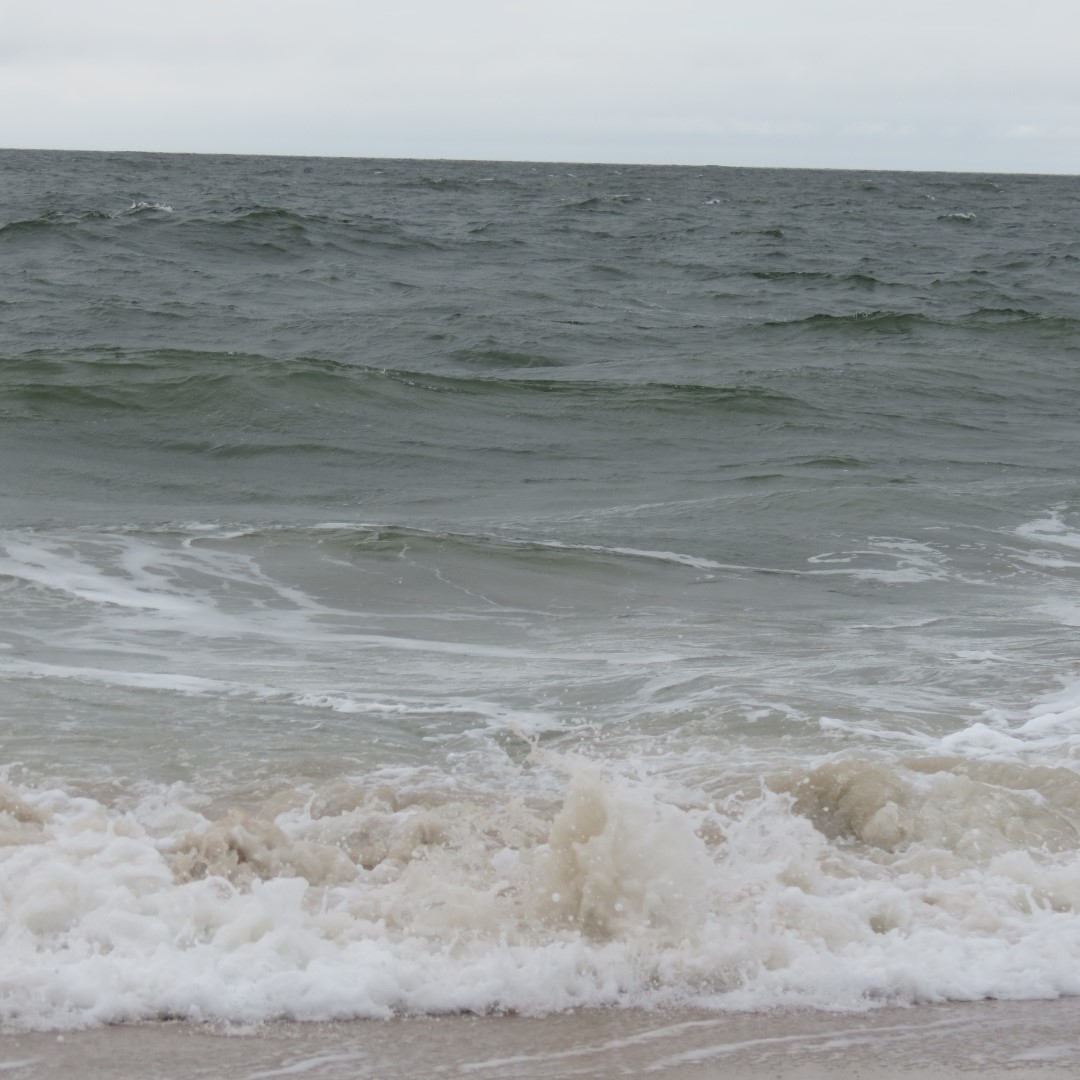 Cape Henlopen State Park in Lewes DE 55 of 55 (#0128)