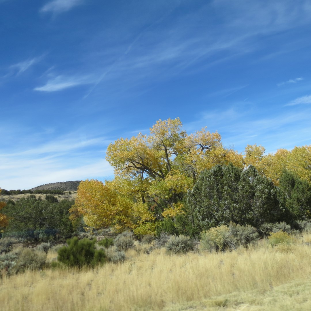 Driving on I-15 south of Salt Lake City UT  4 of 16 (#0196)