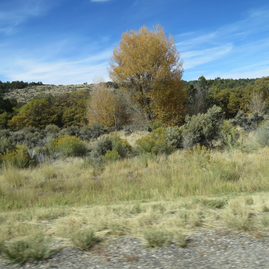 Driving on I-15 south of Salt Lake City UT  5 of 16 (#0197)
