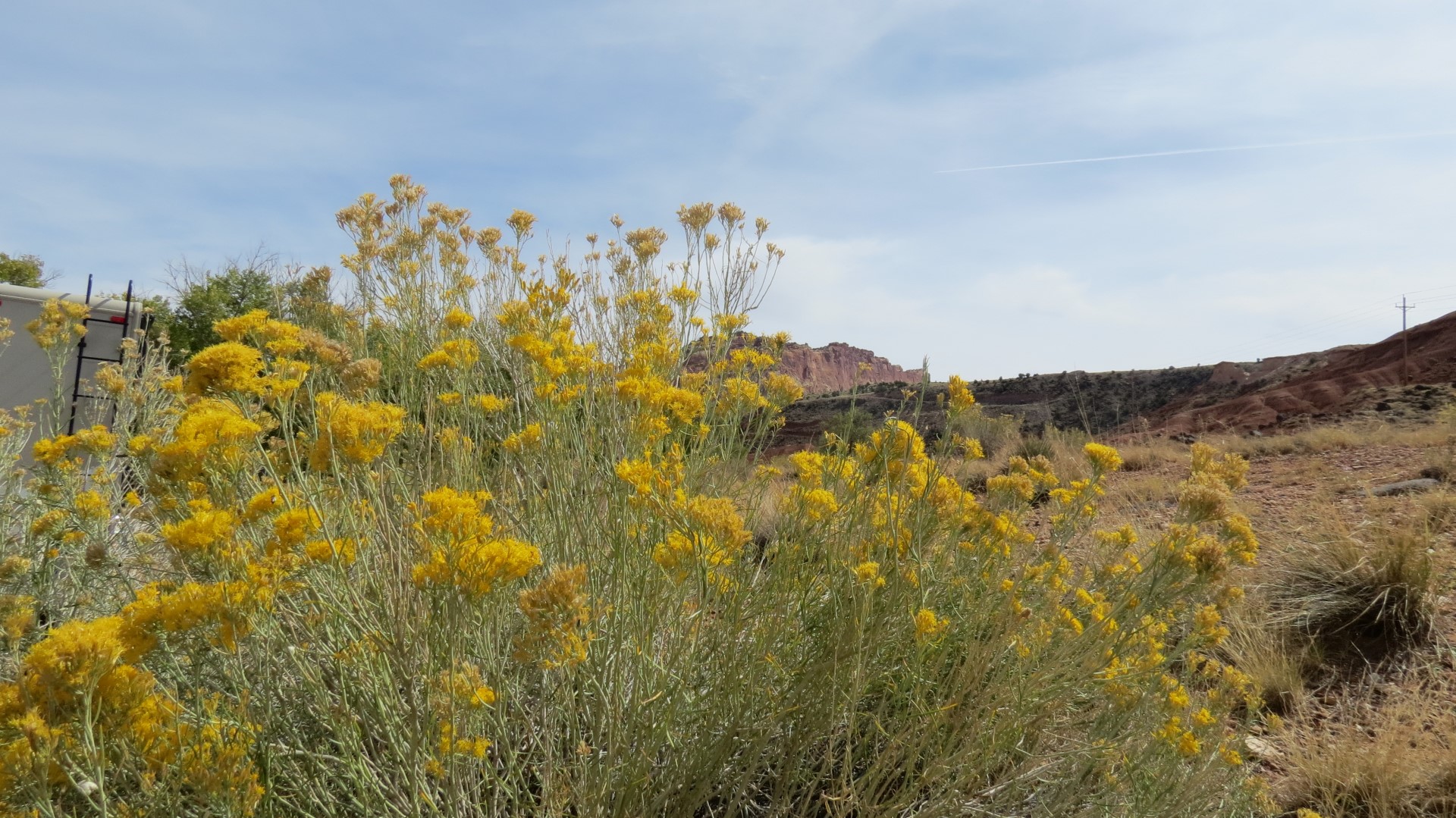 Scenery in Capitol Reef National Park in Utah  3 of  5 (#0227)
