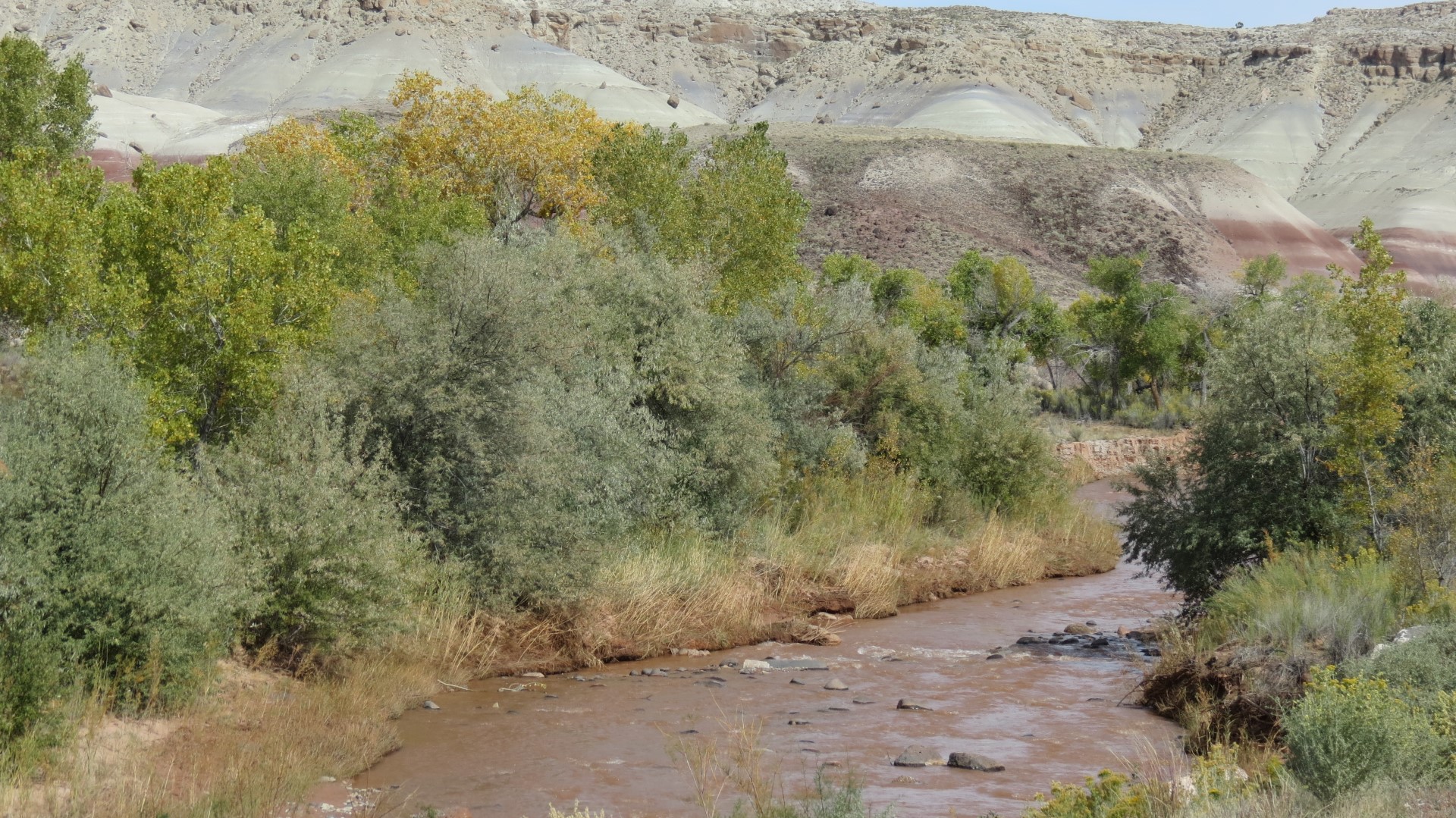Scenery in Capitol Reef National Park in Utah  4 of  5 (#0228)