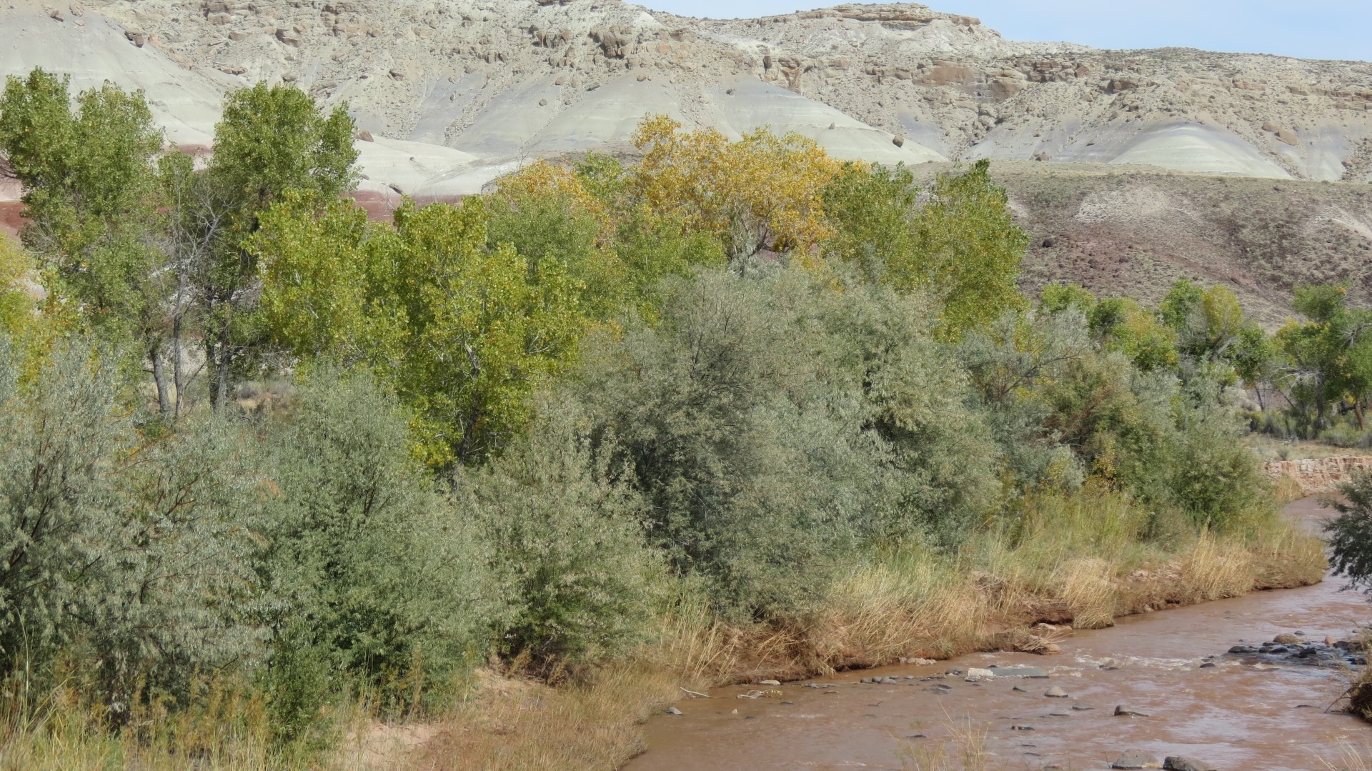 Scenery in Capitol Reef National Park in Utah  5 of  5 (#0229)