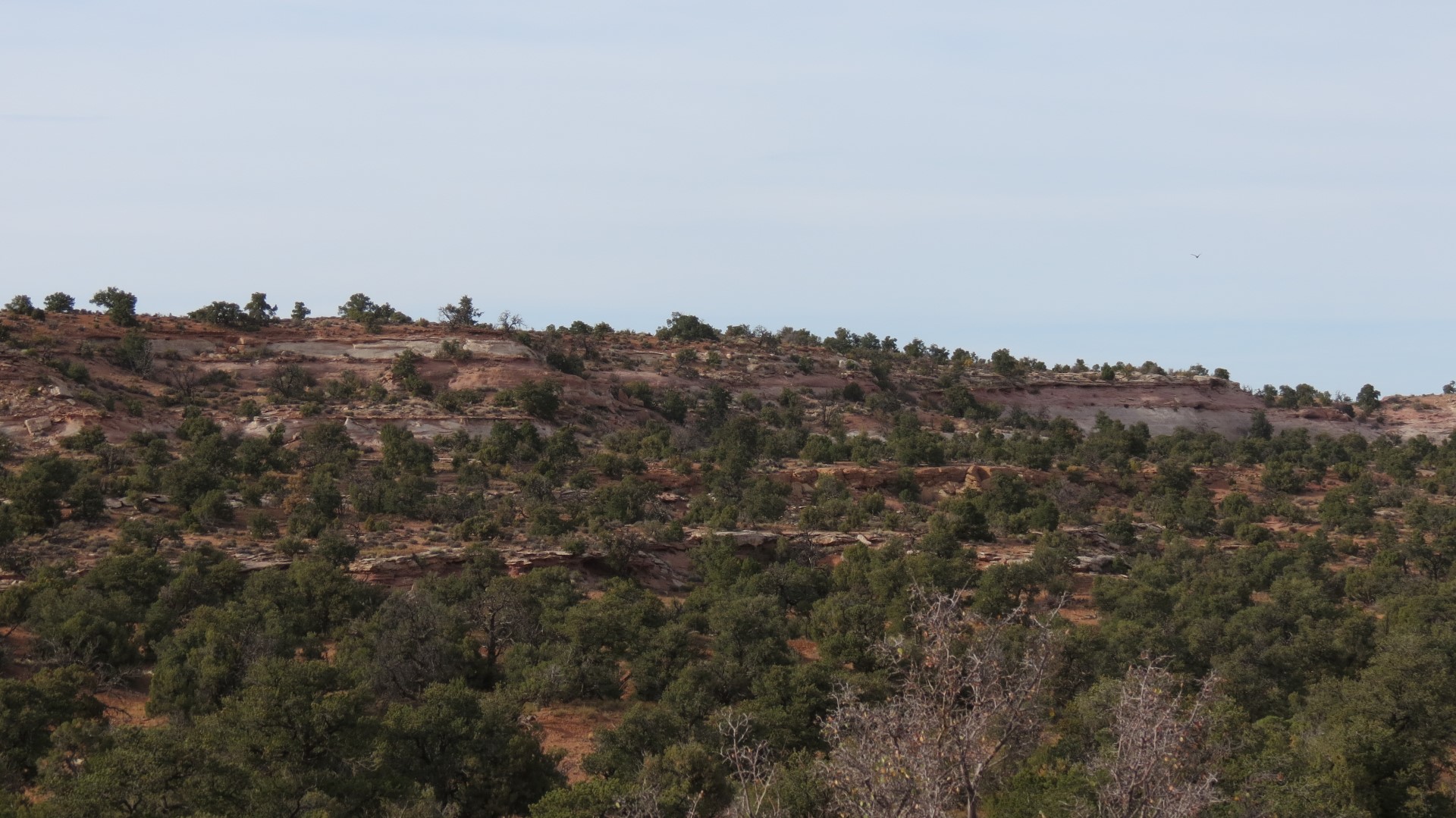 Scenery in Canyonland National Park in Utah 16 of 35 (#0261)