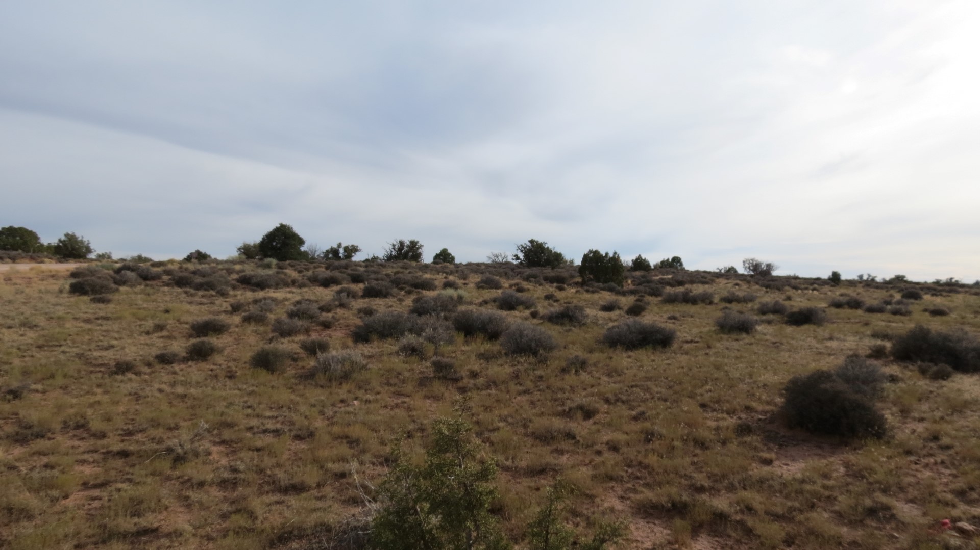Scenery in Canyonland National Park in Utah 24 of 35 (#0269)