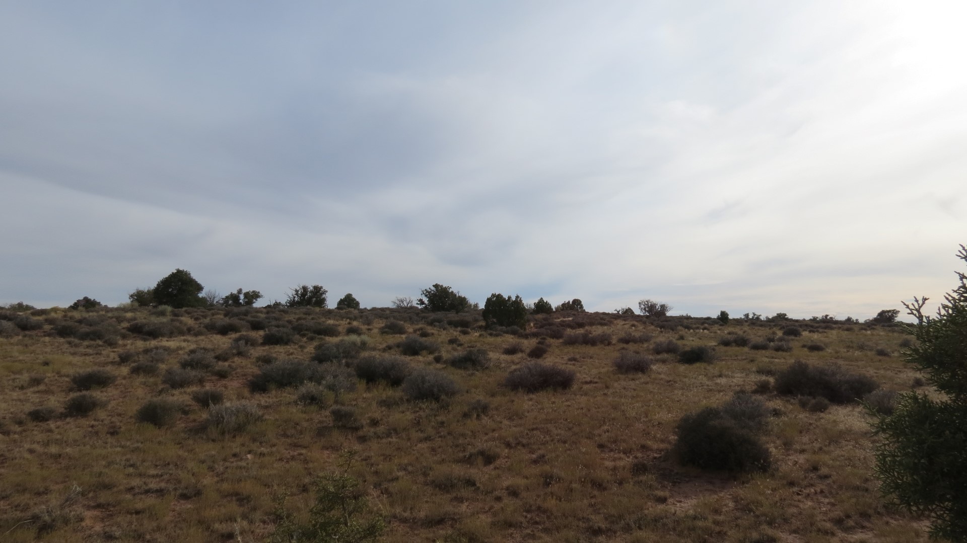 Scenery in Canyonland National Park in Utah 25 of 35 (#0270)