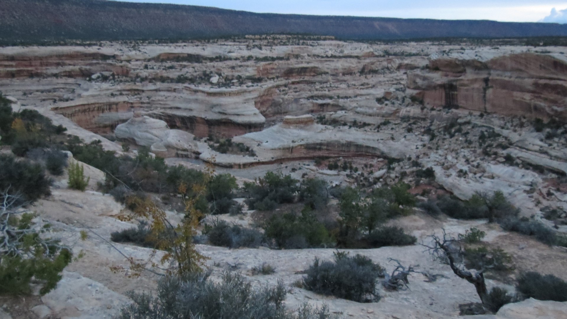 Natural Bridges National Monument in Utah  4 of 17 (#0284)