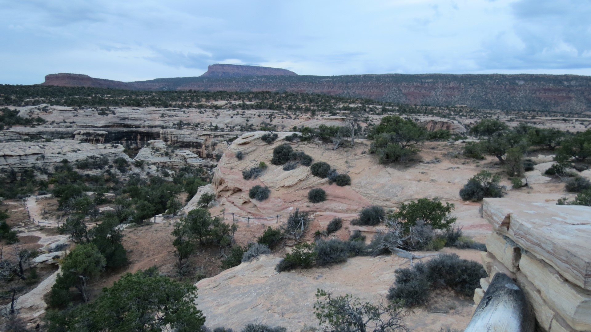 Natural Bridges National Monument in Utah 12 of 17 (#0299)