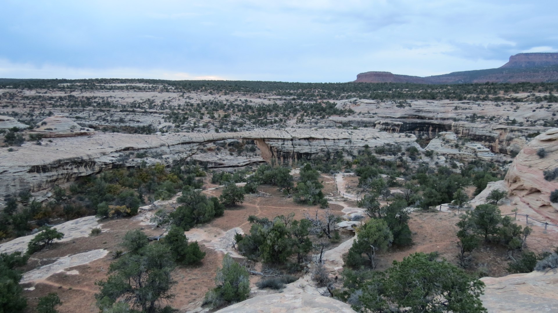 Natural Bridges National Monument in Utah 13 of 17 (#0300)