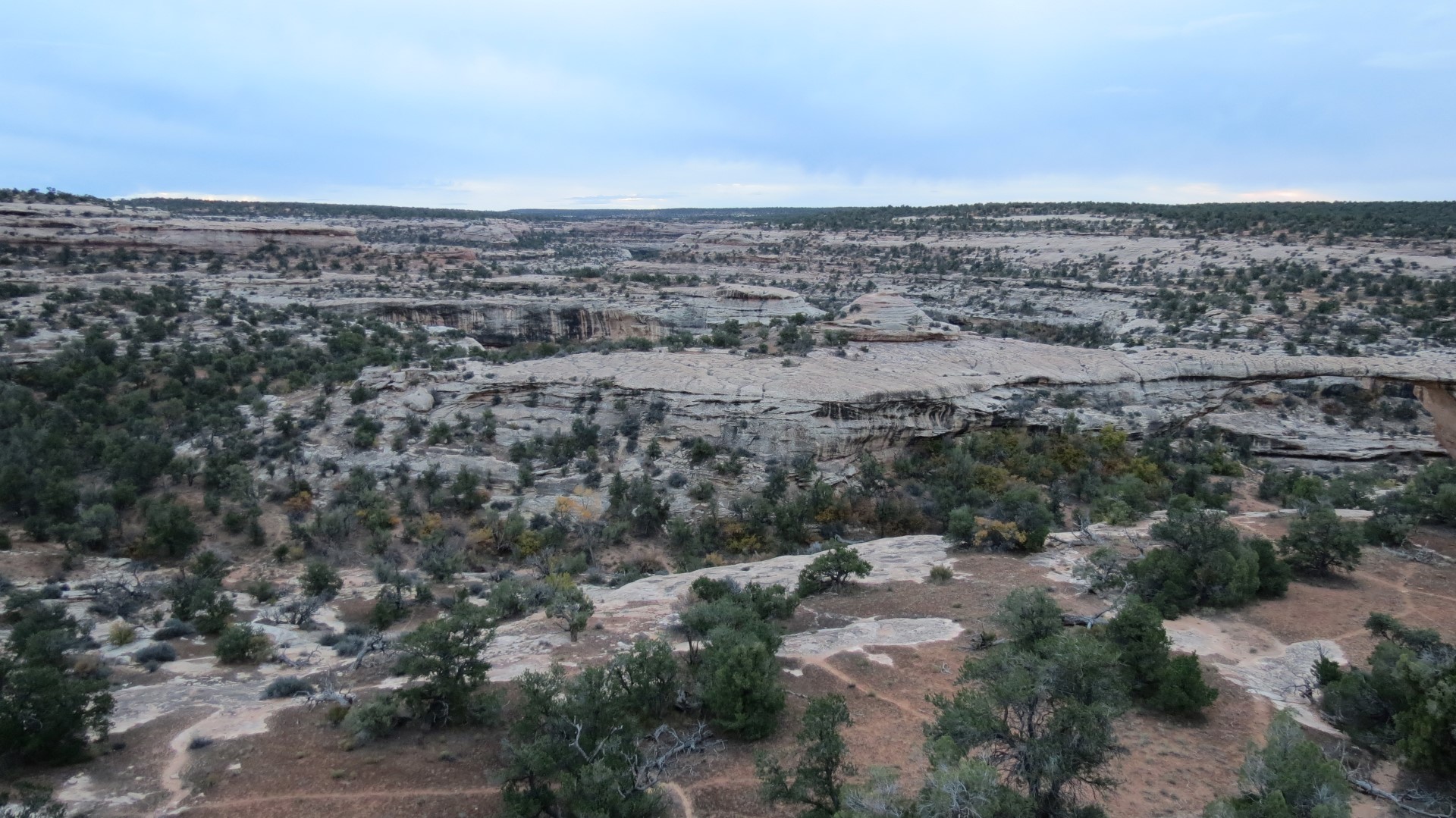 Natural Bridges National Monument in Utah 14 of 17 (#0301)