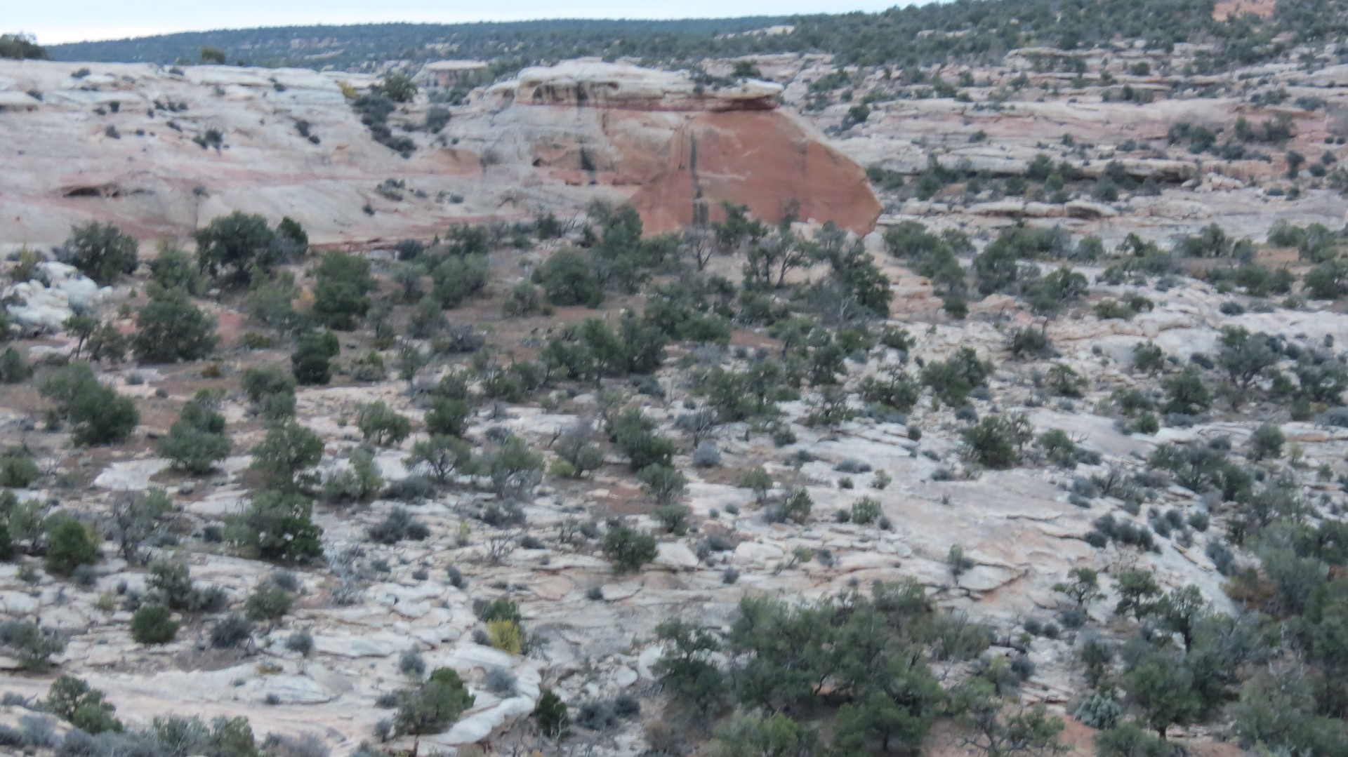 Natural Bridges National Monument in Utah 15 of 17 (#0302)