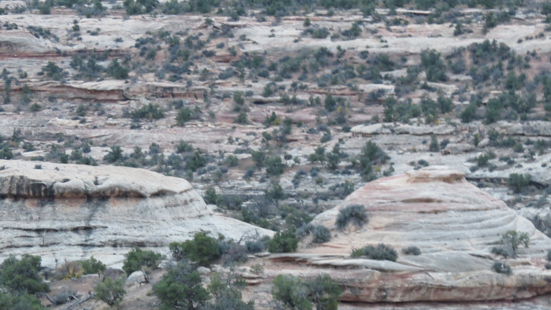 Natural Bridges National Monument in Utah 16 of 17 (#0303)