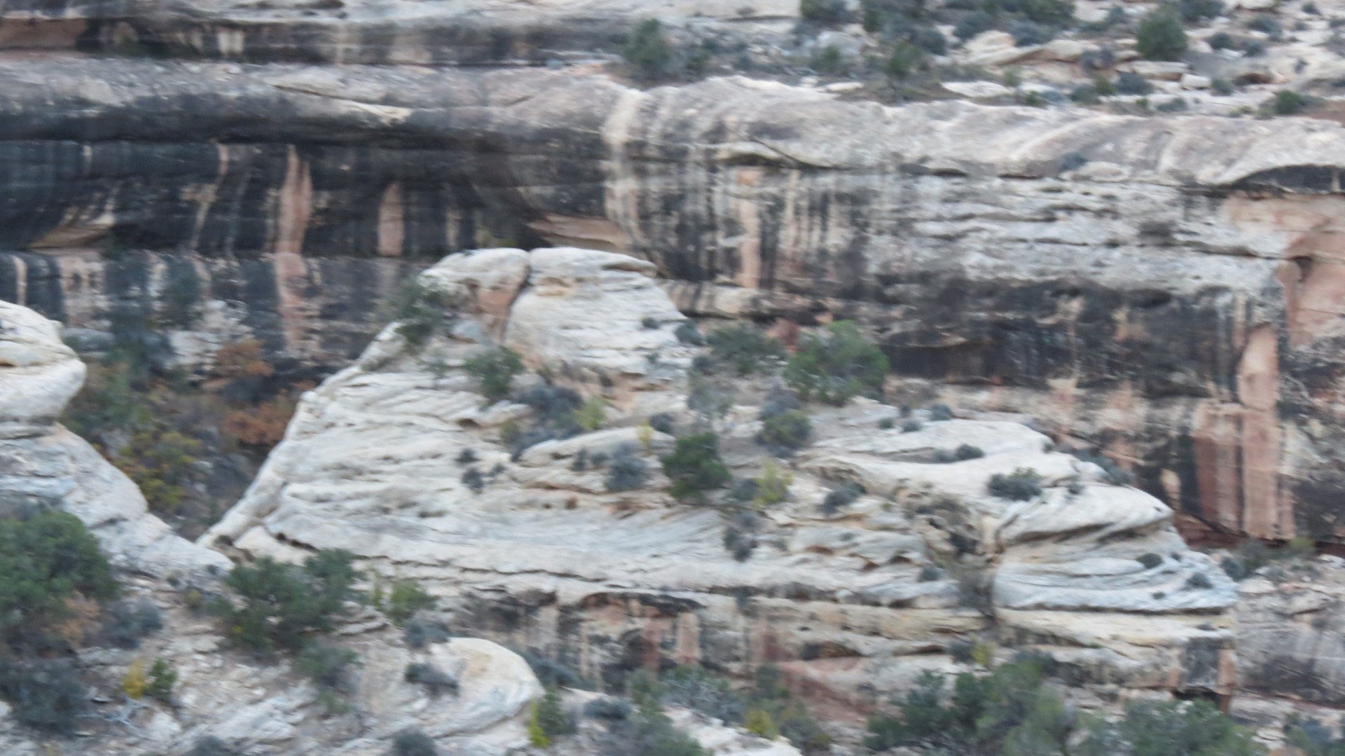 Natural Bridges National Monument in Utah 17 of 17 (#0305)