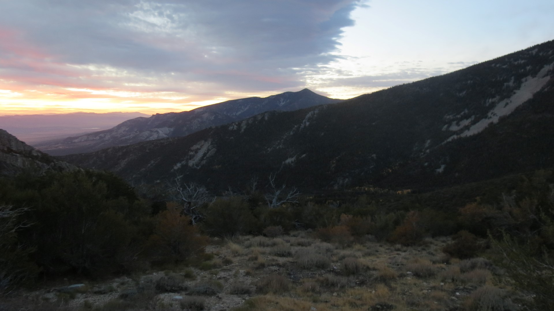 Scenery within Great Basin National Park in Nevada  4 of 92 (#0455)
