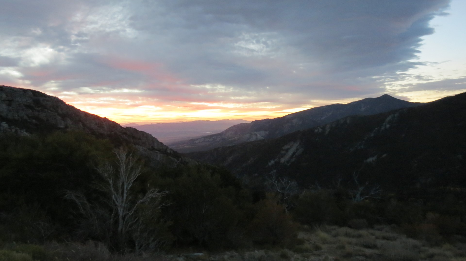 Scenery within Great Basin National Park in Nevada  5 of 92 (#0456)