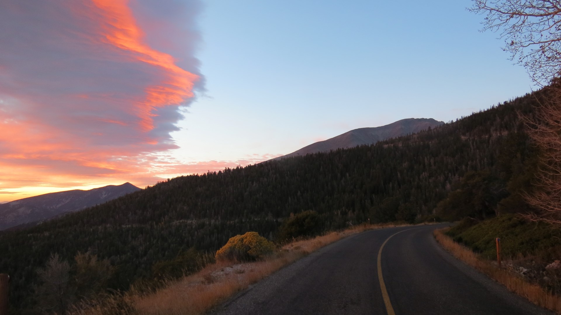 Scenery within Great Basin National Park in Nevada  7 of 92 (#0467)