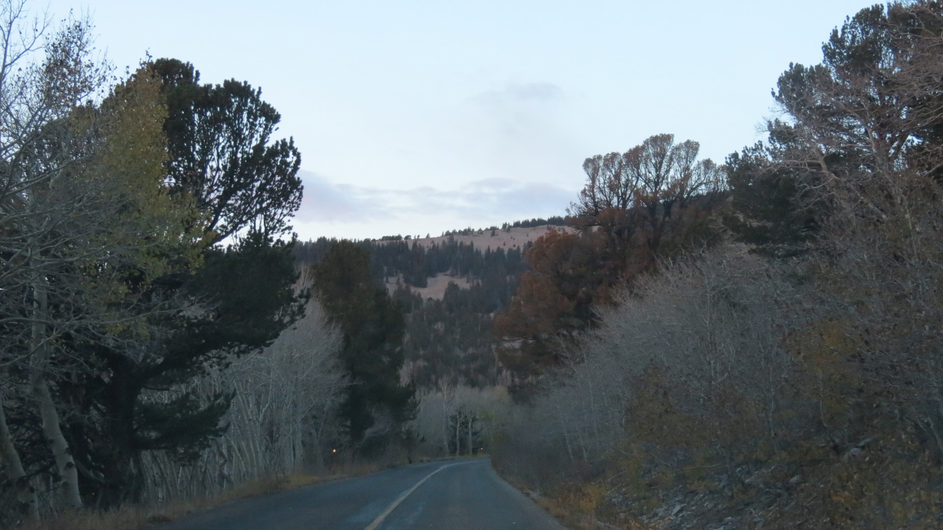 Scenery within Great Basin National Park in Nevada  8 of 92 (#0468)