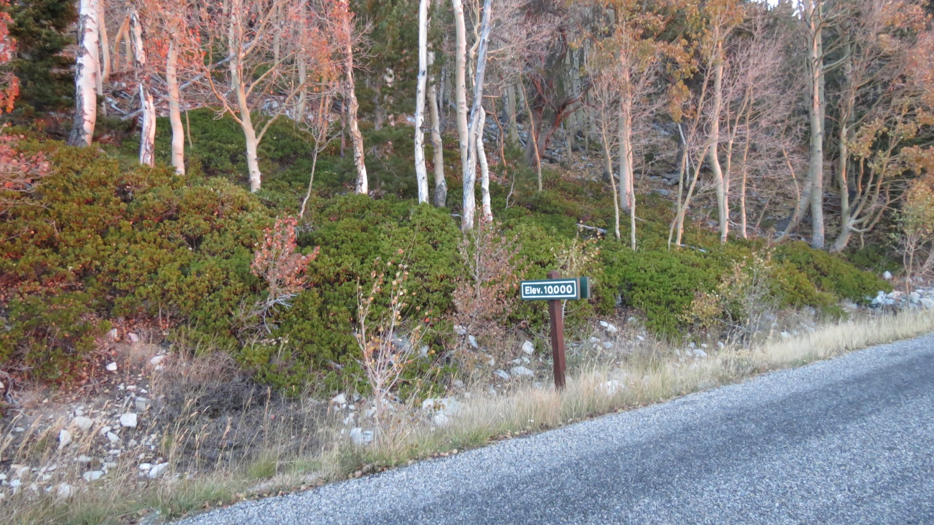 Scenery within Great Basin National Park in Nevada 14 of 92 (#0482)