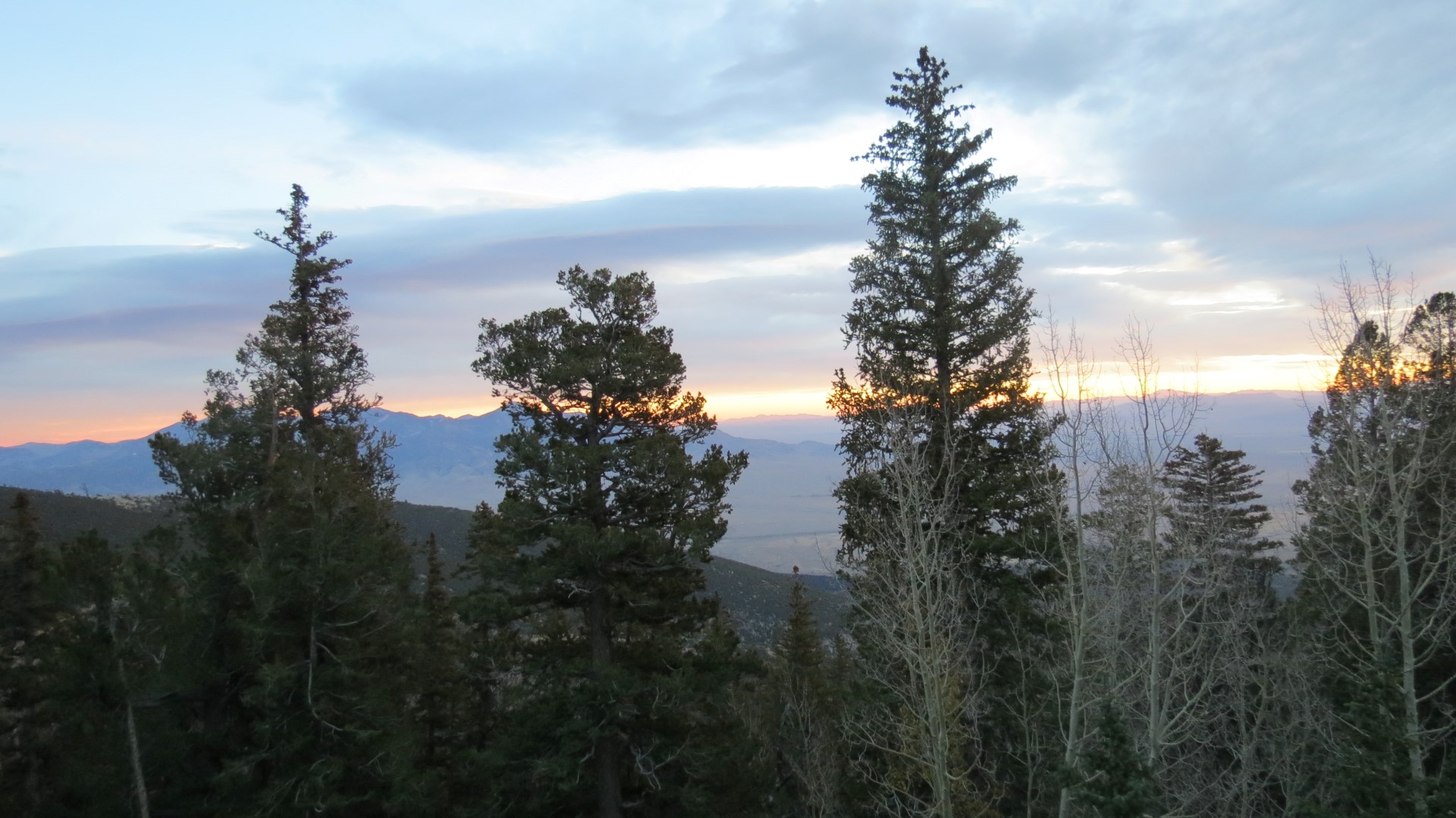 Scenery within Great Basin National Park in Nevada 17 of 92 (#0485)