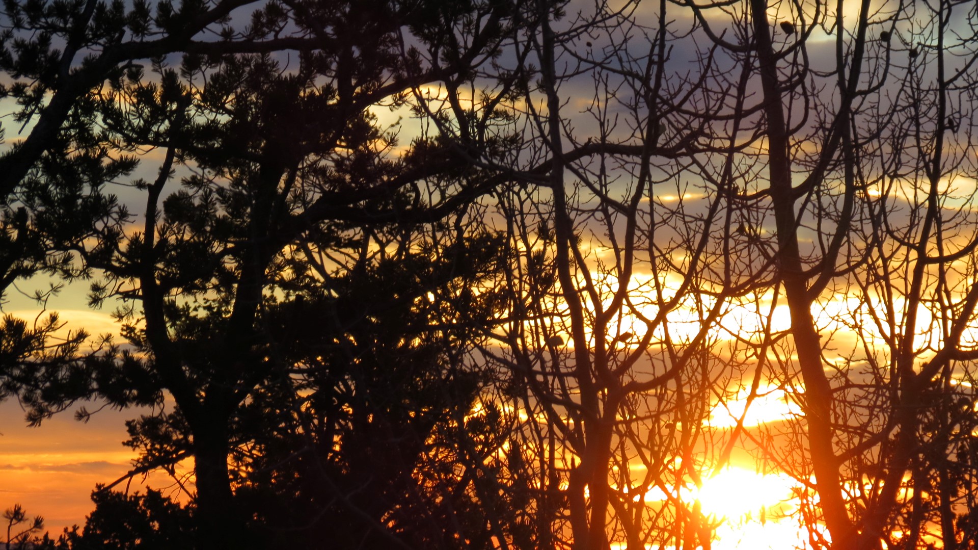 Scenery within Great Basin National Park in Nevada 18 of 92 (#0487)