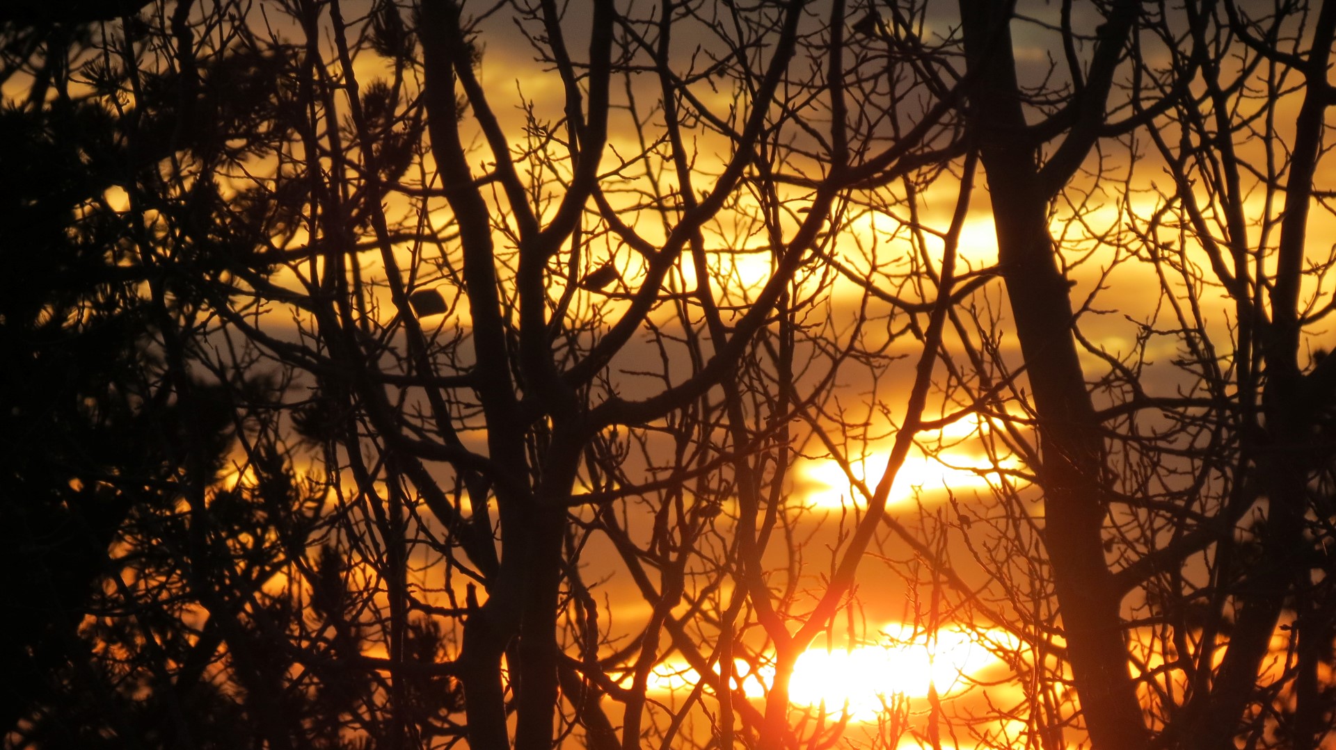 Scenery within Great Basin National Park in Nevada 19 of 92 (#0488)