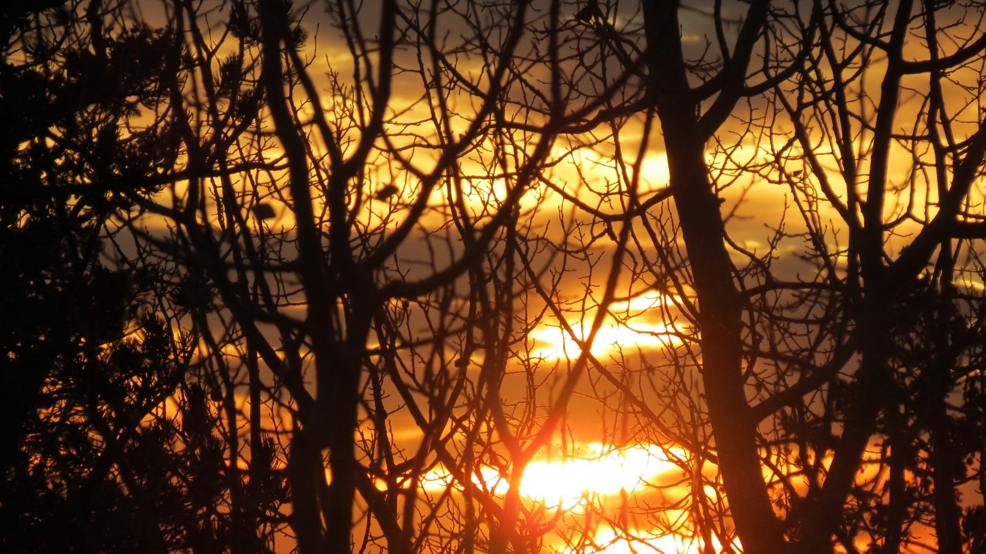 Scenery within Great Basin National Park in Nevada 20 of 92 (#0489)