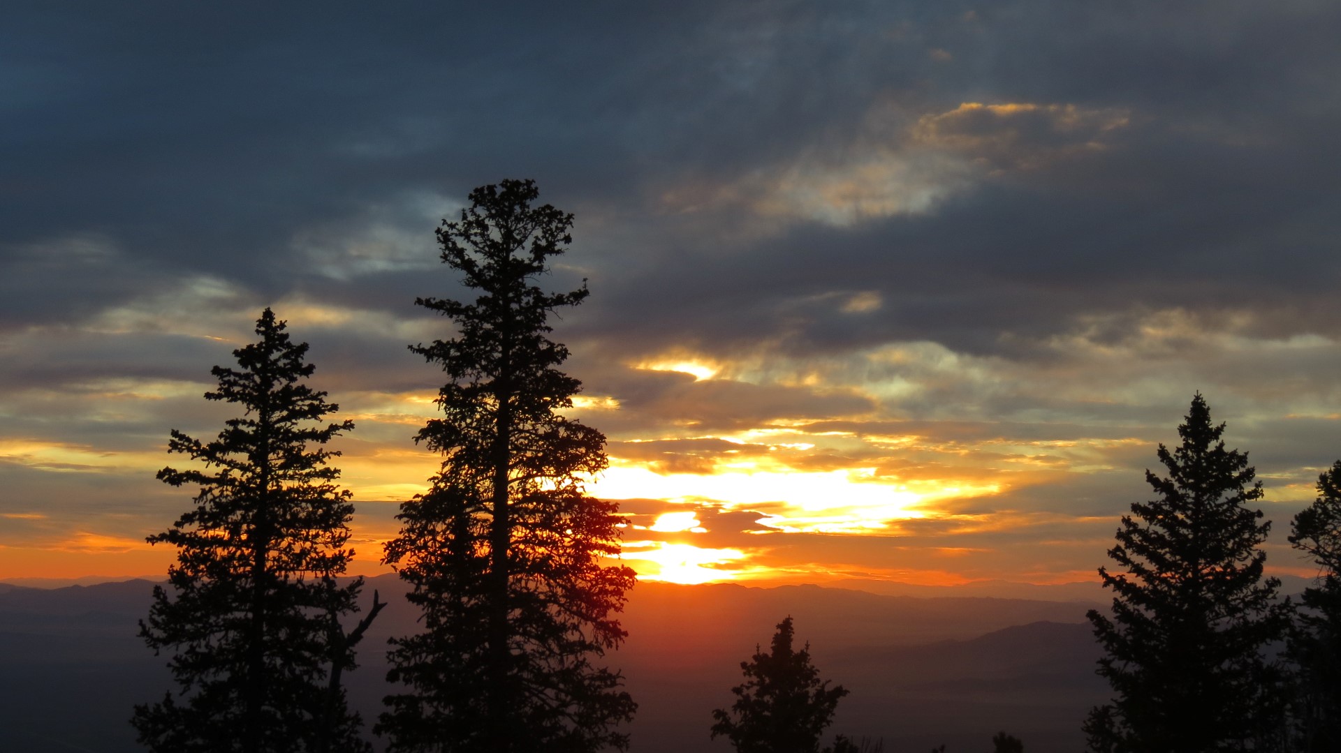Scenery within Great Basin National Park in Nevada 24 of 92 (#0494)