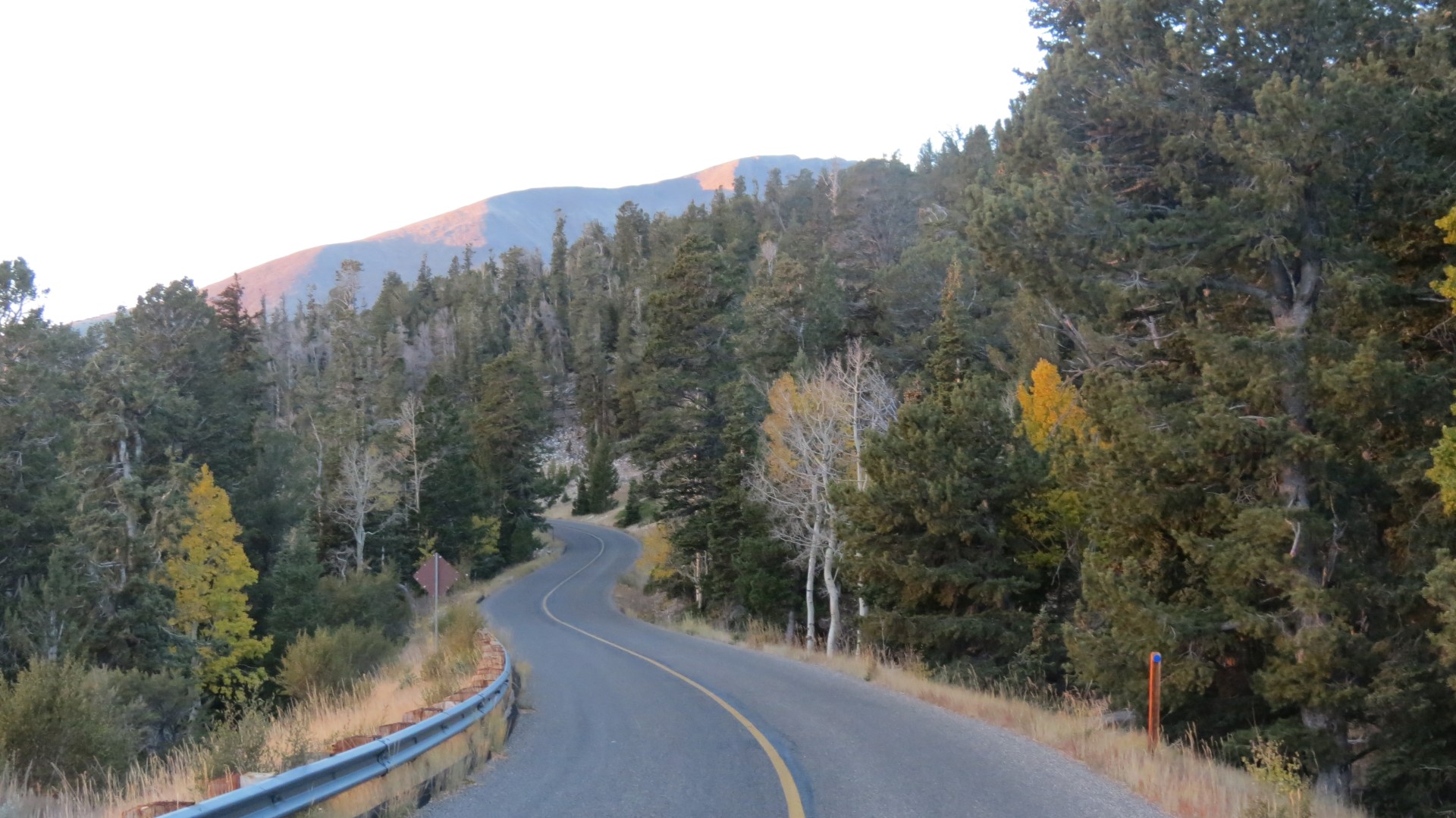 Scenery within Great Basin National Park in Nevada 31 of 92 (#0509)